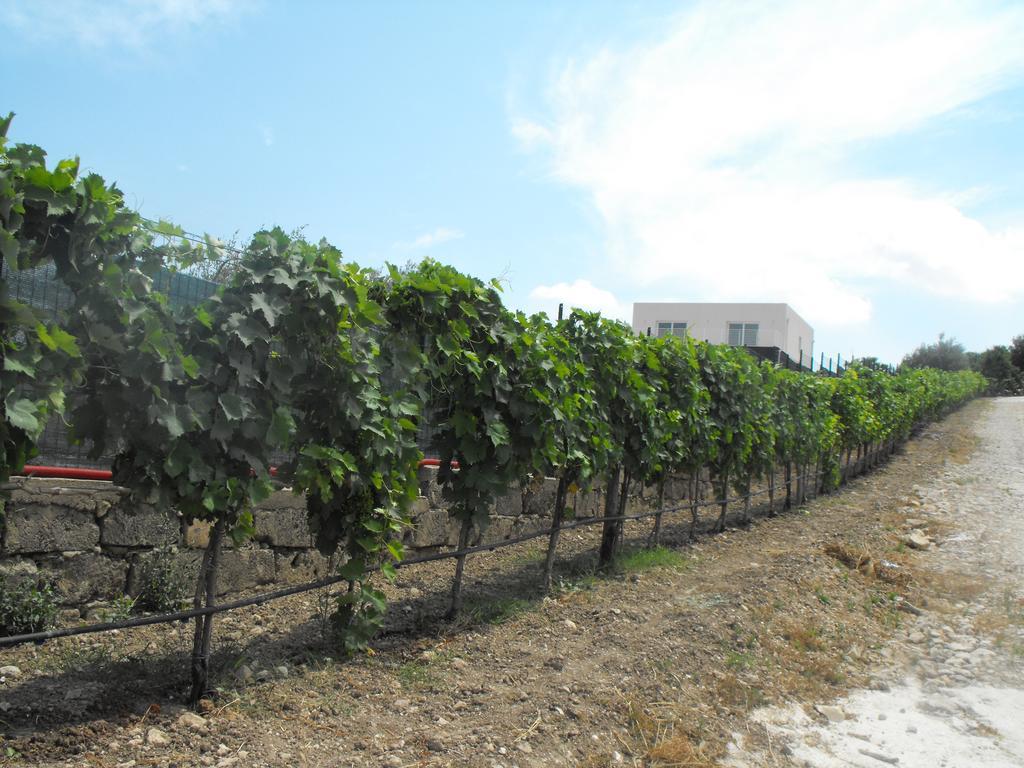 Agriturismoeloropizzuta Lido di Noto Exterior foto